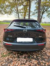 Mazda CX-30 e-SKYACTIV-G M-Hybrid 140 Homura Homura - Mazda CX-30 von privat