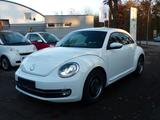 Volkswagen Beetle Lim. 1.4 TSI Cup Automatik Xenon Nav Prkh - VW Beetle Gebrauchtwagen in Hamburg