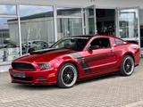 Ford Mustang  3,7 Coupe Shelby Style Aut. Xenon - Ford Mustang aus 2013: Shelby