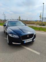 Jaguar XF 2.0 Petrol - 25t 250PS Prestige  - blaue Jaguar XF