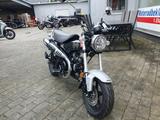 Honda DAX 125 ST125 + 6 Jahre Garantie - TZ - 0 KM - HONDA DAX