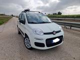 Fiat Panda 0.9 TwinAir Turbo Natural Power Loung - Fiat Panda mit CNG-Antrieb