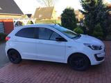 Ford Ka/Ka + 1.2 Black/White - Ford Ka/Ka+ Black