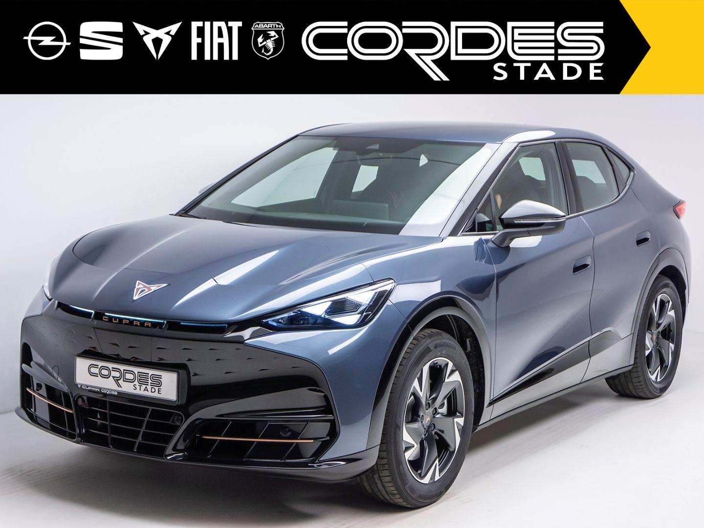 Cupra Tavascan Endurance Automatik ACC Kamera PDC App imagem 2