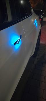 Tesla Model Y Performance *Sonderausstattung* - Tesla Model Y: Performance