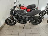 Triumph trident 660 - TRIUMPH TRIDENT 660