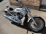 Harley-Davidson V-Rod VRSCA Anniversary  - HARLEY-DAVIDSON 2003 V ROD