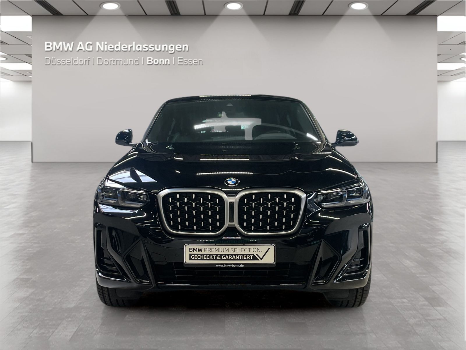 BMW X4 - Bild 8