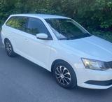 Skoda Fabia Bj.62018 4/Türer - Skoda Fabia: Türer