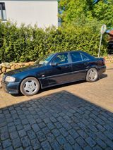 Mercedes-Benz C 36 AMG C 36 AMG - Mercedes-Benz C-Klasse aus 1995