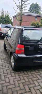 Volkswagen Ältester Volkswagen Lobo. Er Tüv vor einem... - Volkswagen LT in Hamburg