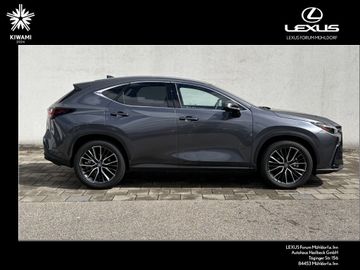 Lexus NX 350h - 2
