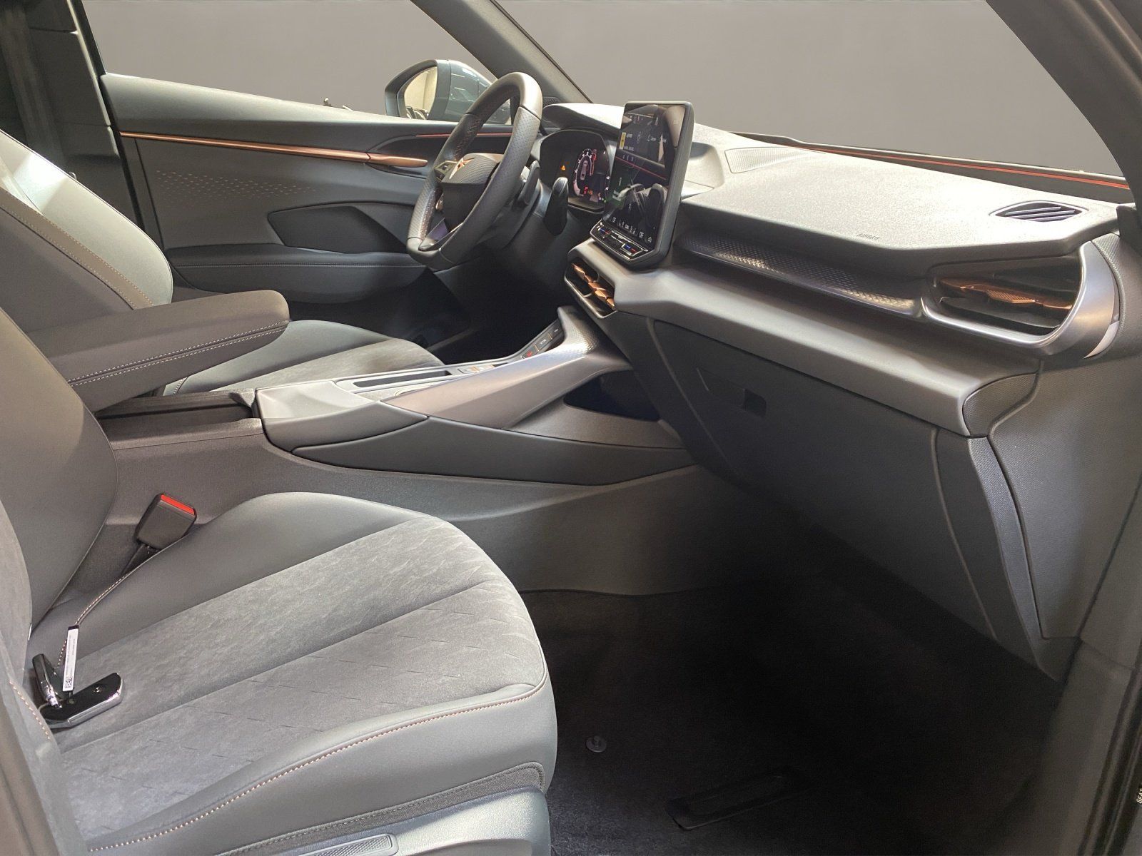 Cupra Terramar - Bild 18