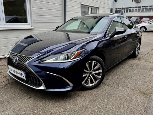 Lexus ES 300h Business Line, LED, Leder, Kamera