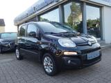Fiat Panda 1.2 Lounge/KLIMA/Panorama/PDC/ALU - Fiat Panda Gebrauchtwagen