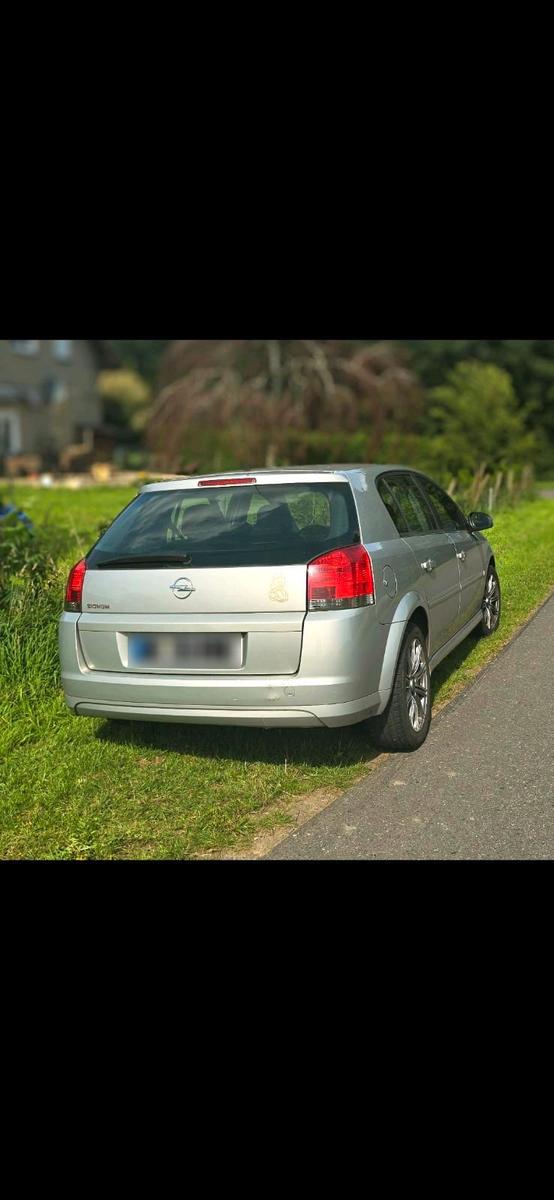 Opel Signum 2008 — interior