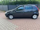 Fiat Punto 1.2 8V Active 1 Hand  Klima Nur 80Tkm - Fiat aus 2004