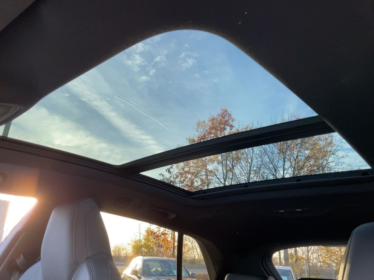 Audi RSQ8 - Bild 17