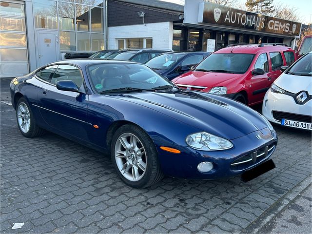 Jaguar XK 8 I.Hand Sammlerzustand Leder Temp Klima