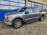 Ford F 150 3.5 XLT Powerboost XTR 4X4 CarPlay Kam. - Ford F 150: Xl
