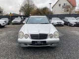 Mercedes-Benz E 320 CDI T AVANTGARDE AHK XENON COMAND BOSE SH - Mercedes-Benz E 320 aus 2001: Cdi