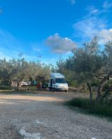 Ford Transit 100 Westfalia Camper (H-Kennz... - Ford Transit: Westfalia