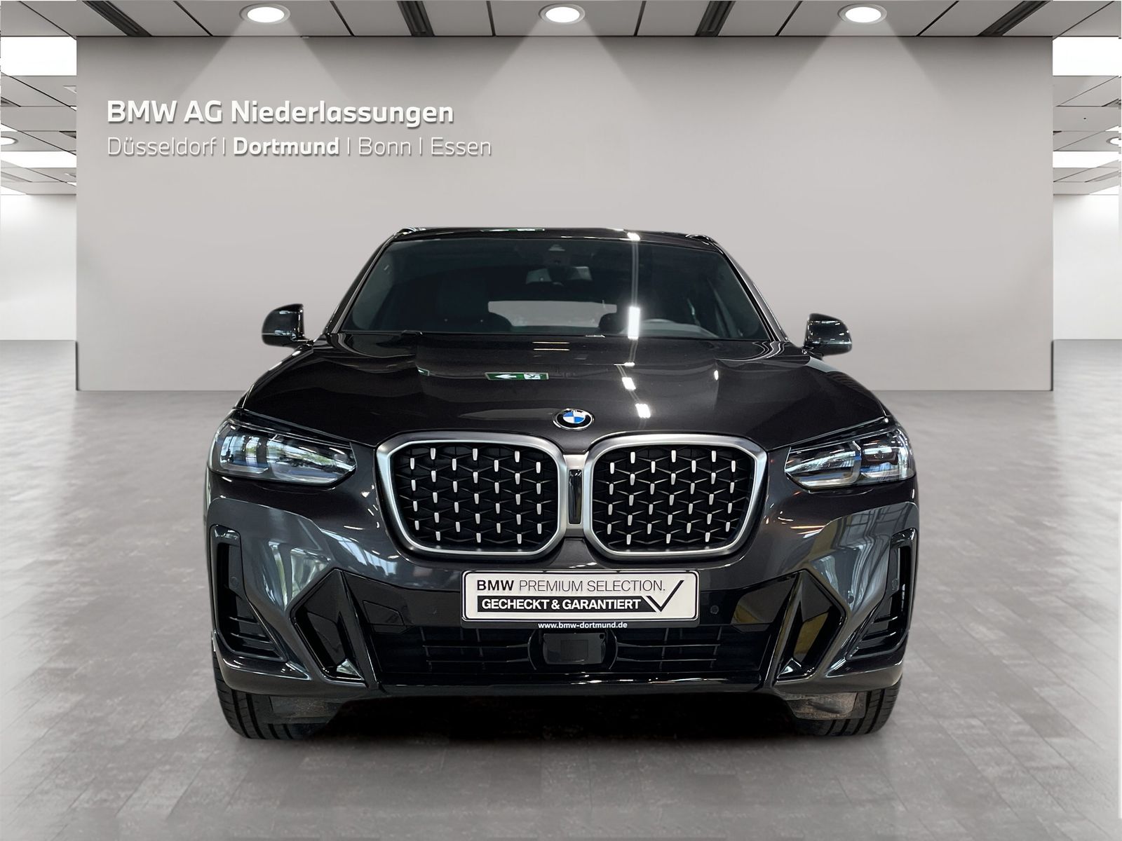 BMW X4 - Bild 8