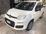 Fiat Panda 0.9 t.air t. natural power Easy 80cv  - mit CNG-Antrieb: Cabrio