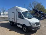 Mercedes-Benz Sprinter 316CDI  Kühlkoffer ThermoKing V300 -30° - Mercedes-Benz 300cd