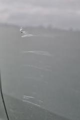 MINI Cooper D Countryman Cooper D ALL4 Cooper - MINI Countryman Serie: Kleinwagen