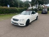 Mercedes-Benz CLK 350 Cabrio *AMG-Paket* a... - Mercedes-Benz: Clk AMG Paket