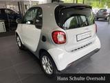 Smart smart fortwo 52 kW twinamic Navi*Pano*Sitz-hzg. - Smart ForTwo in Gelsenkirchen
