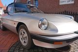 Alfa Romeo Spider 115 - Charmanter Klassiker - Alfa Romeo Spider in Frankfurt (Main)