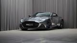 Aston Martin Superleggera Coupe | Magnetic Silver | Alcantara - Aston Martin DBS: Superleggera