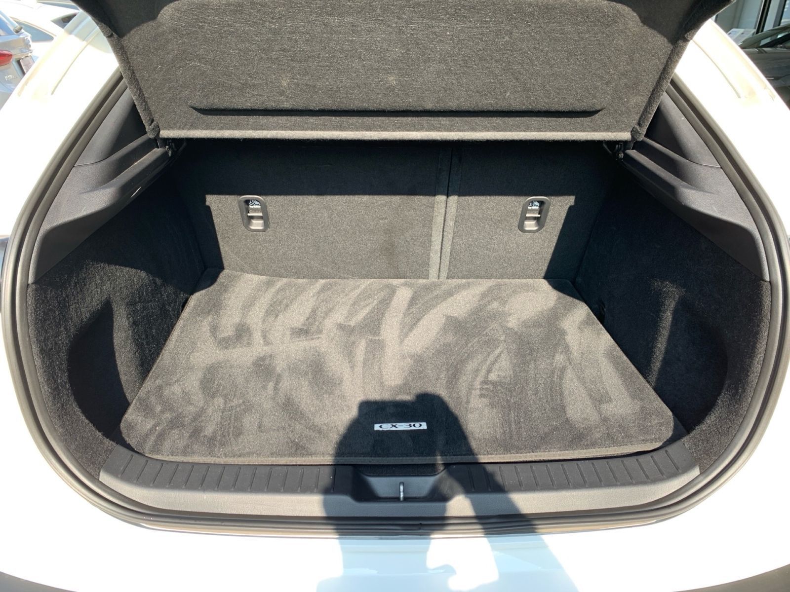 Fahrzeugabbildung Mazda CX-30 2.0 SKYACTIV-G M Hybrid Selection Navi