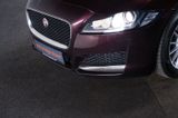 Jaguar XF 2.0 20d Pure Aut.*RFK*Keyless*Winter-P*Hifi*N - Jaguar XF mit Diesel-Antrieb: 2.0