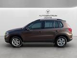 Volkswagen Tiguan Trend & Fun BMT/RENTERFAHRZEUG/SITZHEIZ - : Geländewagen, Rent