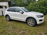 Volkswagen Touareg 3.0 V6 TDI Edition X PANO AHK vieles NEU - Volkswagen Touareg: Edition X