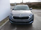 Skoda Karoq Selection 130 Jahre Edition 1,5 TSI DSG*NA - Skoda Karoq