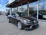 Mercedes-Benz E 250 E Cabrio AMG Navi harman/kardon - Mercedes-Benz mit Benzin-Antrieb: Braun, Vollleder