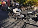 Triumph Street Scrambler 900, Mikroblinker, LED - TRIUMPH SCRAMBLER