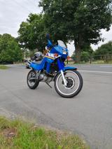 Yamaha XTZ 660 Tenere - Offers matching your search criteria