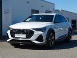 Audi e-tron S 370 quattro - B & O / Carbon - Audi e-tron in Dresden