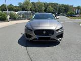 Jaguar XE P300 R-DYNAMIC HSE AWD Vollausstattung  - Jaguar: X300