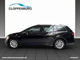 Volkswagen Golf Variant Shz.+Sports.+ACC+Tempom.+Klimaaut. - Volkswagen Golf: Variant Sport