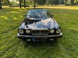 Jaguar Daimler - Jaguar Daimler: Limousine