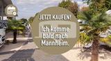 Dethleffs Camper 550 ESK *Bettumbau Einzel - Doppelbett* - Dethleffs 550