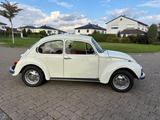 Volkswagen Käfer - Volkswagen: Sportwagen, Kaefer