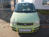 Fiat Panda 1.2 8V Dynamic - Fiat Panda Gebrauchtwagen