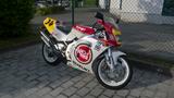 Suzuki RGV 250 - Lucky Strike - SUZUKI RG